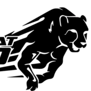Logo BlackCat Dyno