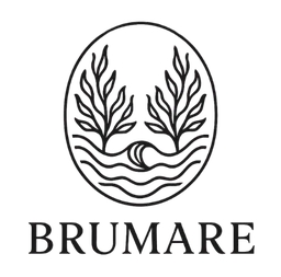 Logo BRUMARE