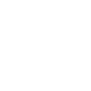 Logo DINAR GROUP