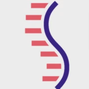 Logo REKIBO