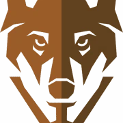 Logo VALKA