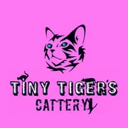 Logo Tiny Tigers