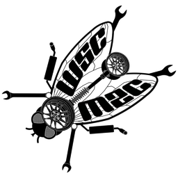Logo COSMIS