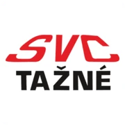 Logo SVC Group