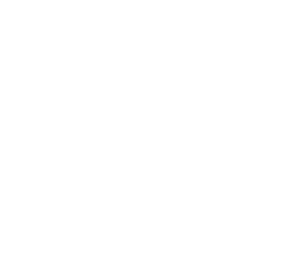 Logo DITHO