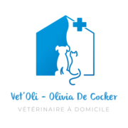 Logo VETOLI