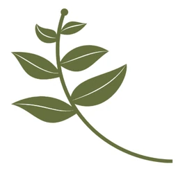 Logo Praktijk Viavera