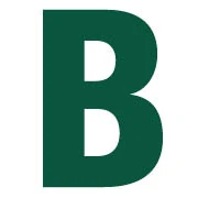 Logo BOA CONSTRUCTORS