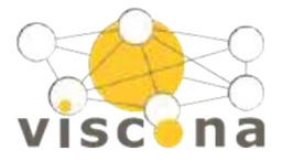 Logo Viscona