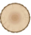 Logo WOLFSWOOD