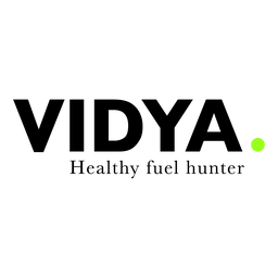 Logo VIDYA