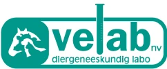 Logo VELAB