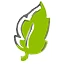 Logo TUINPLANTEN CARBONEZ