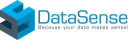 Logo DataSense