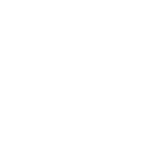 Logo Diogenius Lab