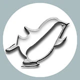 Logo IL PATTINO