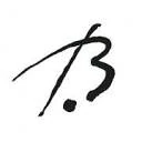 Logo BEEKMAN FOUNDATION