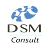 Logo DSM CONSULT
