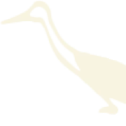 Logo LILA DIWA