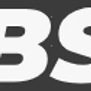 Logo BSURVEY