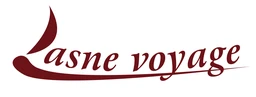 Logo YOUR TRAVEL