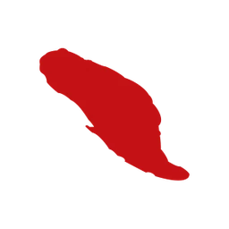 Logo MEDICHIN