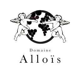 Logo SAS ALLOIS
