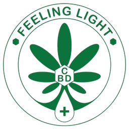Logo M.G.M. INVEST