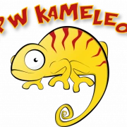 Logo Speelpleinwerking Kameleon