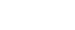 Logo Insane Sports