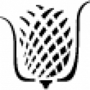 Logo SAS LAINES PAYSANNES