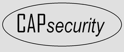 Logo CAP SECURITY