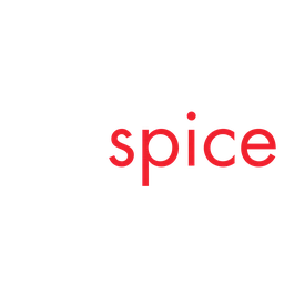 Logo VIDSPICE
