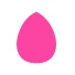 Logo CAMILIA