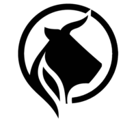 Logo Nicolas & Romy