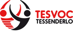 Logo Tesvoc Volley Tessenderlo