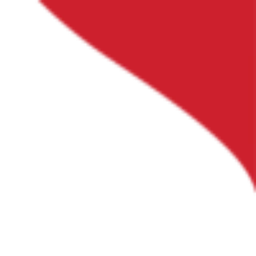 Logo NAVIS CONSULTING