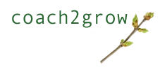 Logo NvdH Consult