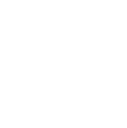 Logo ORCHID SRL