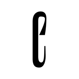 Logo The European Correspondent