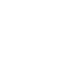 Logo SENTRA