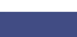 Logo REGEX IT SOLUTIONS