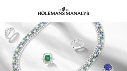 Logo Holemans