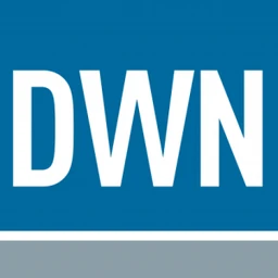 Logo DWN Consulting