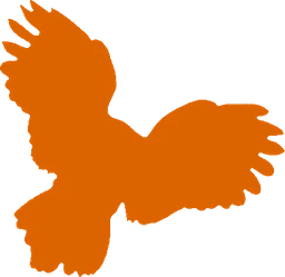 Logo Hendrix Studios