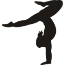 Logo Flik - Flak VZW