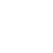 Logo The Waffle