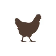 Logo DE VLOO