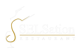 Logo SELSation
