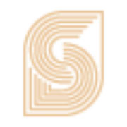 Logo DIVERGENT STUDIO